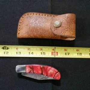 Folding Pocket Knife With Sheath