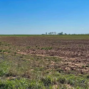 6/5 DELLA JUNE ASHBY TRUST Land Auction