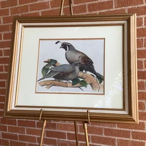 "Quail Pair" Artwork by Vivian Drewien Olsen