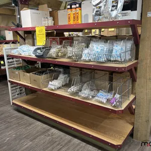 Section of Double Sided Wooden Retail Shelving
 UNRESERVED