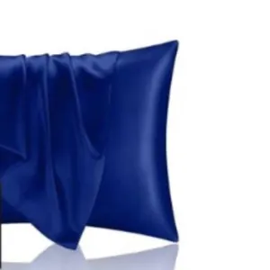 INSSL Silk Pillowcase, Egyptian Blue, King Size