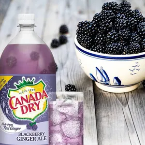 Canada Dry Blackberry Ginger Ale 24 x 500mL Bottles