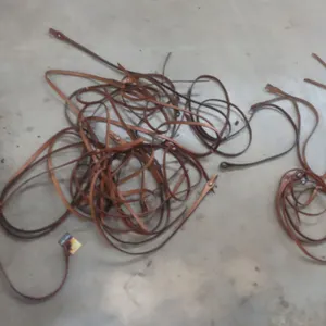 10 New Split Reins