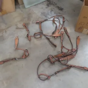 10 New Bridles