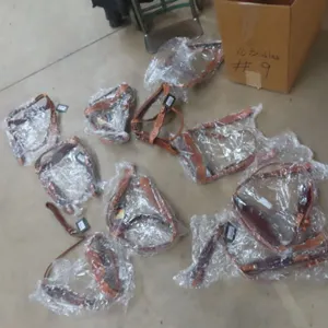 10 New Bridles