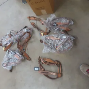 10 New Bridles
