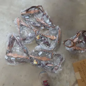 10 New Bridles
