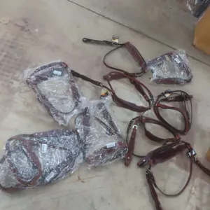 10 New Bridles