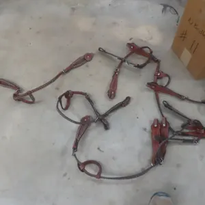 10 New Bridles