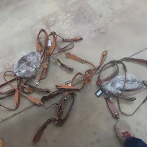 10 New Bridles