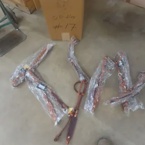 10 New Bridles