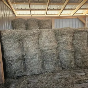 OFFSITE 2026 Small Round Mixed Hay Bale /EACH BALE