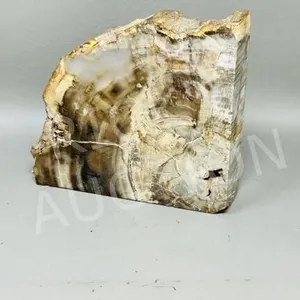 Brazilian Petrified wood - 6" h x 6" L x 2" w