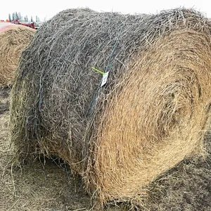 1 - 1ST CUT ALFALFA RD BALE - SAMPLE BALE FOR LOTS 9Y & 10Y