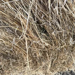 29 - 1ST CUT ALFALFA GRASS MIX RD BALES - SOLD PER BALE - SOLD OFFSITE NW BENTLEY