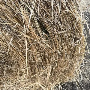 18 - 1ST CUT ALFALFA GRASS MIX RD BALES - SOLD PER BALE - SOLD OFFSITE NW BENTLEY