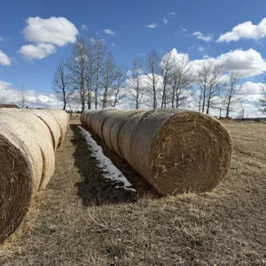 17 - MIXED RD HAY BALES - SOLD PER BALE - SOLD OFFSITE SUNDRE