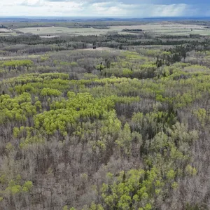 640 Acres M/L - 4 Quarters Grazing Lease - GRL39797 - Rated at 92 AUM - Expires December 31, 2042