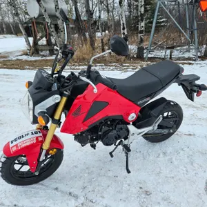 MOTORBIKE : 2014 Honda MSX125 Grom