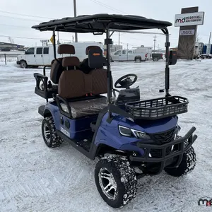 2026 SDLanch SDLGC80 Gray Electric Golf Cart (Disassembled)
 UNRESERVED
