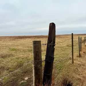 RM of Estevan #5 -  Robert & Vivian Adams Timed Online Land Auction
