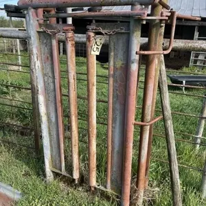Cattle Head Gate