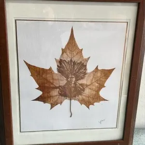 Framed maple leaf carving