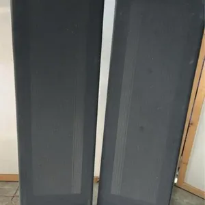 Magnapane flat speakers