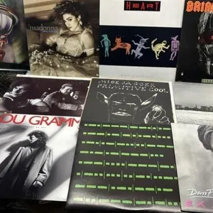 Vinyl Lp Record Lot Van Halen Madonna Heart Adams