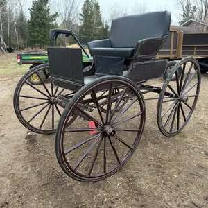 2-Person Horse Carriage