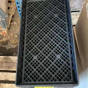OFFSITE - 85 greenhouse plant trays.