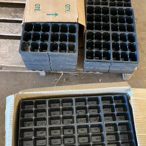 OFFSITE - Approximately 210 seed starting trays.