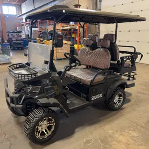 New SDLANCH SDLGC80 4-Seat Electric Golf Cart - 4000W AC Electric Motor, 60V100AH Battery