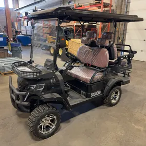 New SDLANCH SDLGC80 4-Seat Electric Golf Cart - 4000W AC Electric Motor, 60V100AH Battery