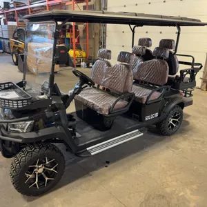 New SDLANCH SDLGC100 6-Seat Electric Golf Cart - 4000W AC Electric Motor, 60V100AH Battery
