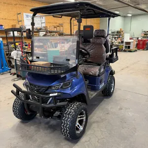 SDLCG80 GOLF CART BLUE 12 INCH OFF-ROAD TIRES, THICK ANTI-COLLISION, 10.1-INCH LARGE SCREEN WITH REVERSE IMAGE, LUXURIOUS SEATS WITH HEADRESTS, FRONT 