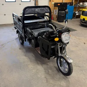 IRET13 TRICYCLE W/ GAS SHOCK ASSISTED MANUAL DUMP BOX LCD INSTRUMENT PANEL; THREE-SPEED ADJUSTABLE; LED HEADLIGHTS, VEHICLE SIZE: 2700*970*1325MM CARR