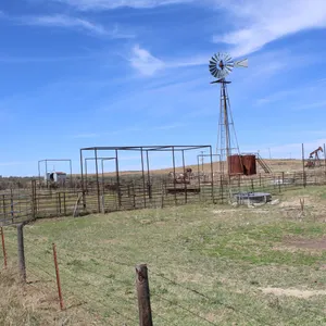 Plain Land Auction
