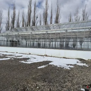 62' x 31' Commercial Greenhouse (To be Disassembled)
 UNRESERVED