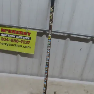 Walking Stick with German Badges 