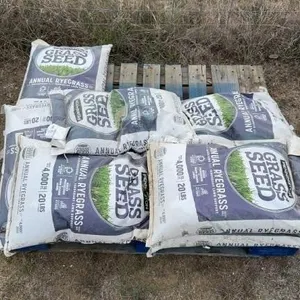 7 20 lbs. bags of Rye grass seed 7 time the