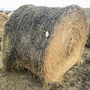 18 - 1ST CUT ALFALFA RD BALES - SOLD PER BALE - SOLD OFFSITE NW BENTLEY