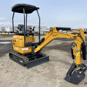 Mini-pelle CFG QK20R 2026
 UNRESERVED