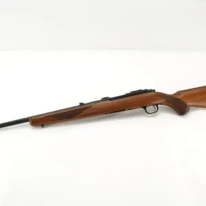 Ruger 77/22 .22 Hornet