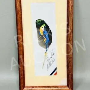 hand painted parrot on feather - signed - 4"