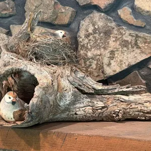 Quail Figures in Nest Tree Piece 23” x 14” x