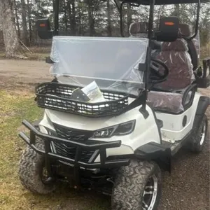 Lifted 4-Passenger Off-Road Electric Golf Cart, SD
