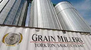 Private Tour For 4 People Of Grain Millers Operations Yorkton