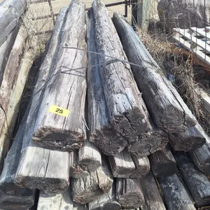 F - 25 - 8ft Railway Ties