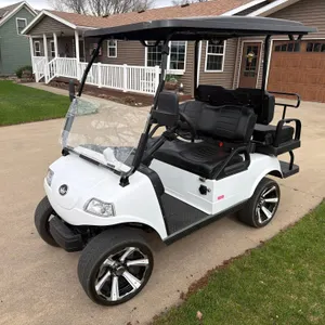 2023 Evolution Electric Golf Cart-1 Owner